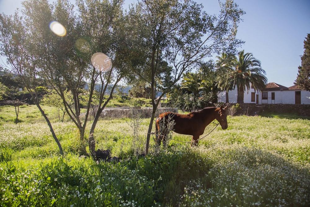 La Casona Del Patio Otel Santiago del Teide Dış mekan fotoğraf